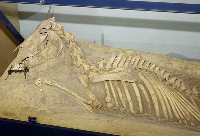 Bild Leinfelden-Echterdingen