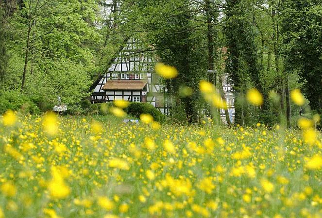 Bild Leinfelden-Echterdingen