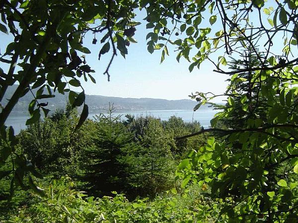 Bild Bodman-Ludwigshafen