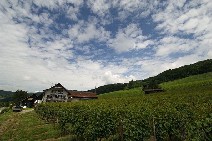 Bild Hohentengen am Hochrhein