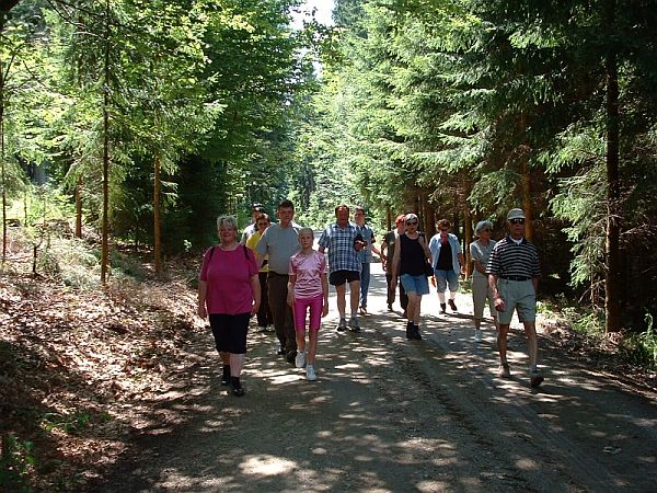 Bild Hinterschmiding