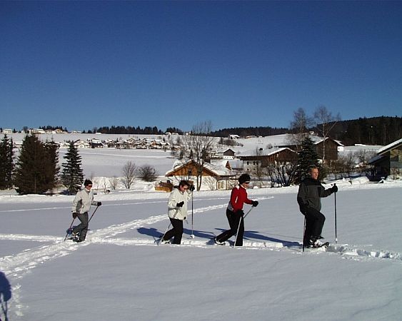 Bild Hinterschmiding