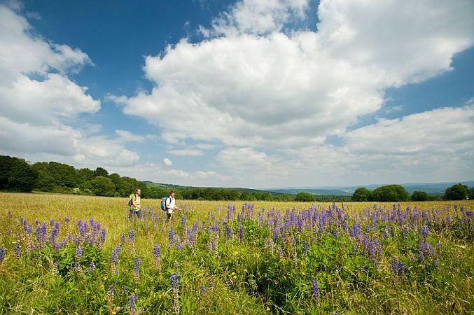 Bild Greifenstein (Hessen)
