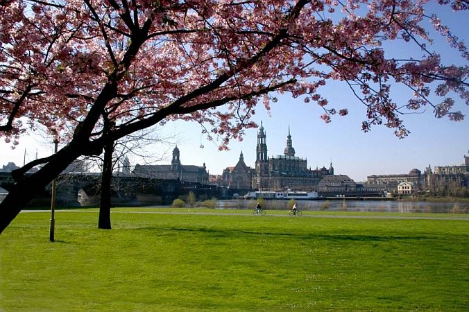 Bild Dresden